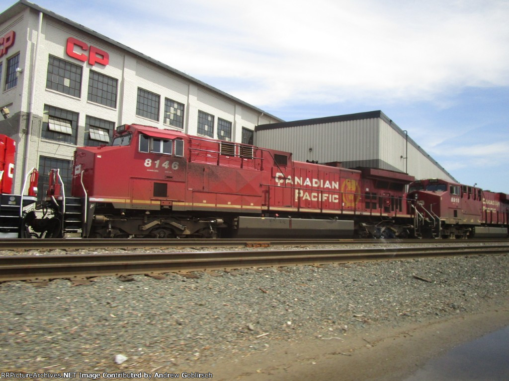 CP 8146